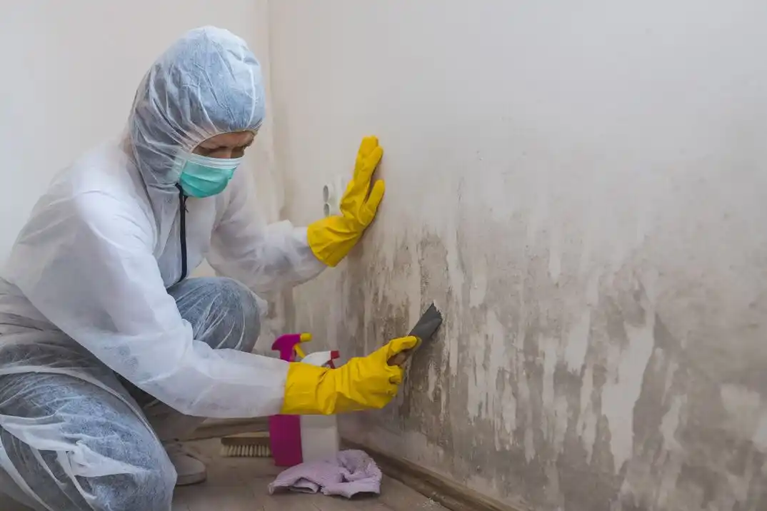 water damage restoration service Spanish Oaks